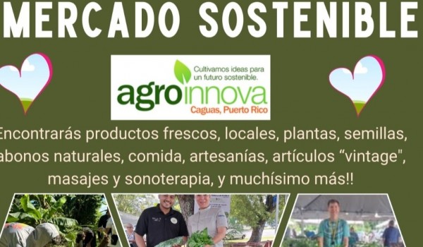 Mercado Sostenible Agroinnova